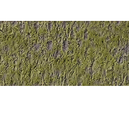 Caran d'Ache Pastel Kalem Light Reseda 017