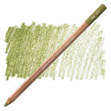 Caran d'Ache Pastel Kalem Light Reseda 017