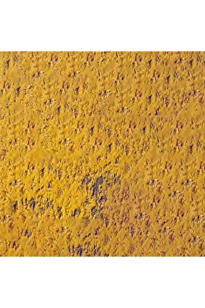 Caran d'Ache Pastel Kalem Ochre 035