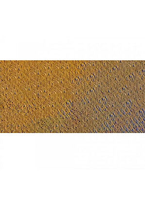 Caran d'Ache Pastel Kalem Raw Sienna 036