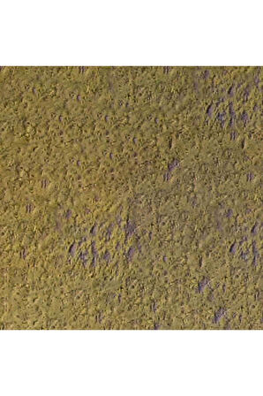 Caran d'Ache Pastel Kalem Olive Brown 039