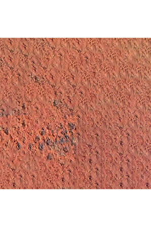 Caran d'Ache Pastel Kalem Terracotta 044