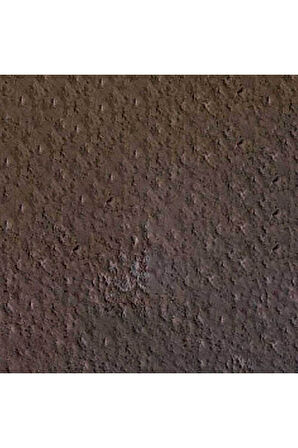 Caran d'Ache Pastel Kalem Cassel Earth 046