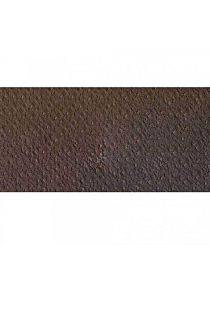 Caran d'Ache Pastel Kalem Cassel Earth 046