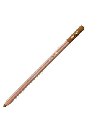Caran d'Ache Pastel Kalem Bistre 047