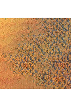 Caran d'Ache Pastel Kalem Saffron 052