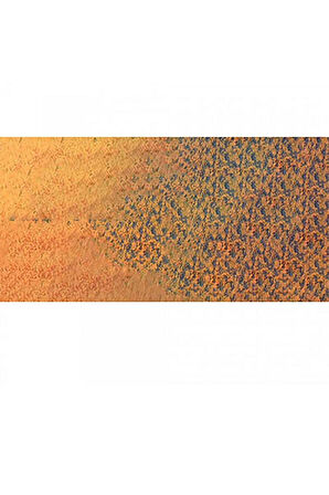 Caran d'Ache Pastel Kalem Saffron 052