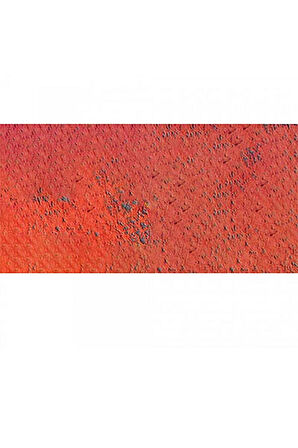 Caran d'Ache Pastel Kalem Vermilion 060