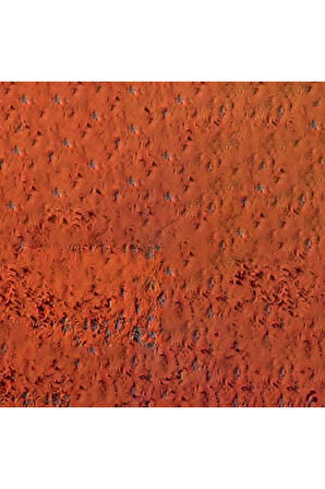 Caran d'Ache Pastel Kalem Raw Russet 066