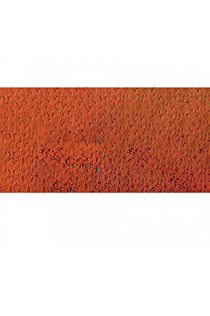 Caran d'Ache Pastel Kalem Raw Russet 066