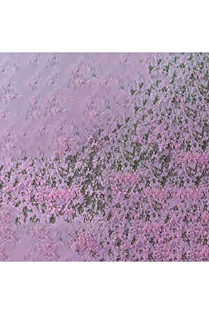 Caran d'Ache Pastel Kalem Ultamarine Pink 083