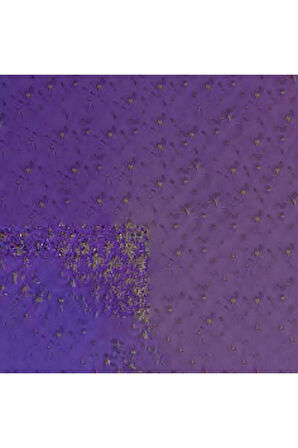 Caran d'Ache Pastel Kalem Violet 120