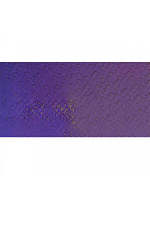 Caran d'Ache Pastel Kalem Violet 120