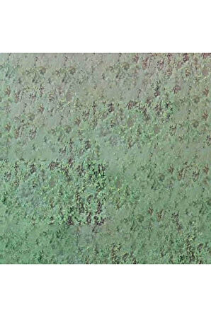 Caran d'Ache Pastel Kalem Chromium Oxide Green 212