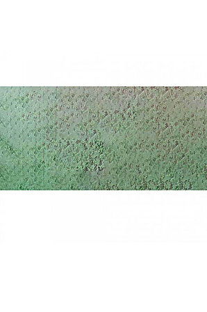 Caran d'Ache Pastel Kalem Chromium Oxide Green 212