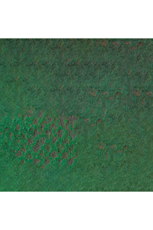 Caran d'Ache Pastel Kalem Moss Green 225
