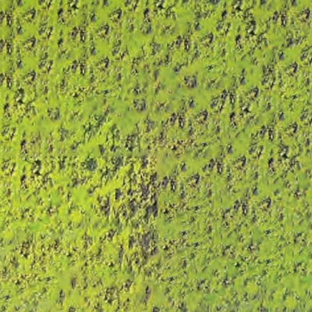 Caran d'Ache Pastel Kalem Middle Moss Green 10% 232