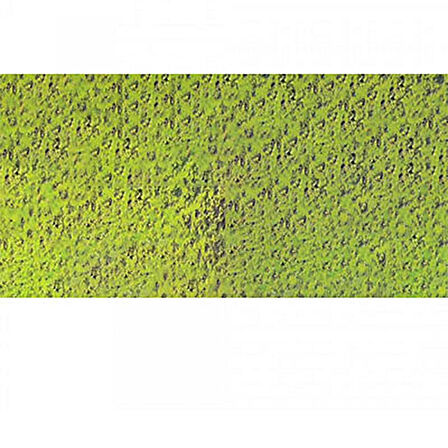 Caran d'Ache Pastel Kalem Middle Moss Green 10% 232