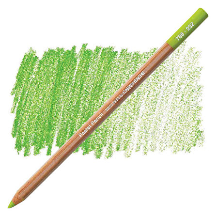 Caran d'Ache Pastel Kalem Middle Moss Green 10% 232