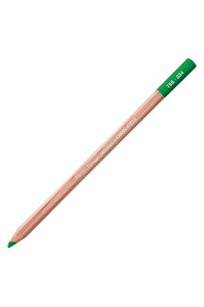 Caran d'Ache Pastel Kalem Middle Moss Green 30% 234