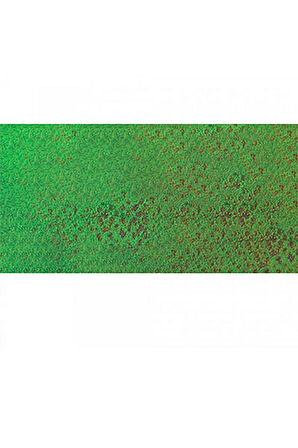 Caran d'Ache Pastel Kalem Middle Moss Green 30% 234