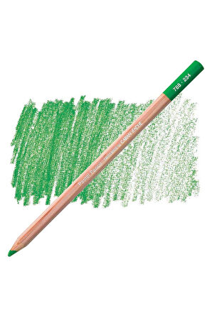 Caran d'Ache Pastel Kalem Middle Moss Green 30% 234