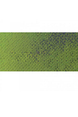 Caran d'Ache Pastel Kalem Light Olive 40% 245