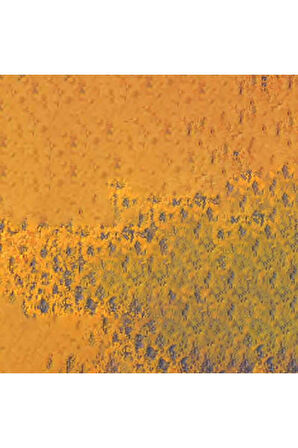 Caran d'Ache Pastel Kalem Fast Orange 300