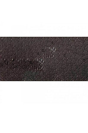 Caran d'Ache Pastel Kalem Dark Sepia 408