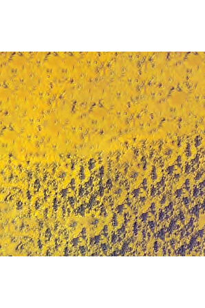 Caran d'Ache Pastel Kalem Golden Ochre 033