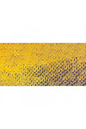 Caran d'Ache Pastel Kalem Golden Ochre 033