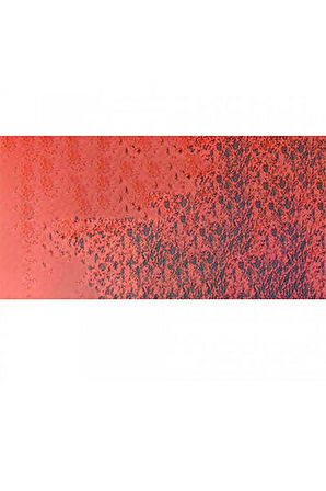 Caran d'Ache Pastel Kalem Anthraquinoid Pink 571