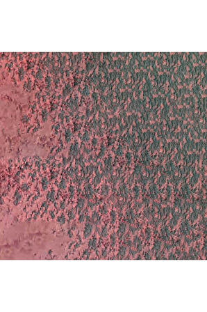 Caran d'Ache Pastel Kalem Violet Pink 583