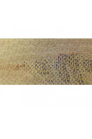 Caran d'Ache Pastel Kalem Brown Olive 50% 736