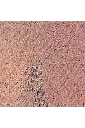 Caran d'Ache Pastel Kalem Warm Earth 5% (Dark Flesh) 741