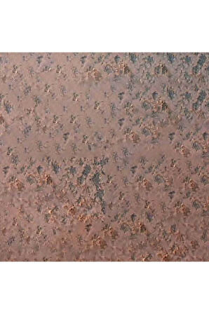 Caran d'Ache Pastel Kalem Dark Flesh 40% 745