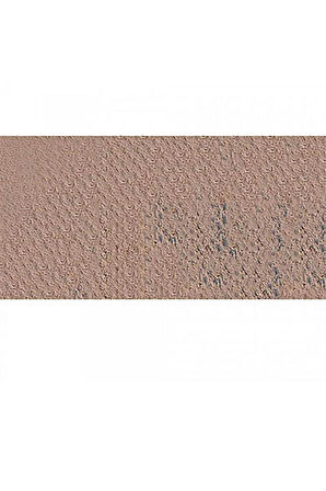 Caran d'Ache Pastel Kalem Dark Flesh 50% 746