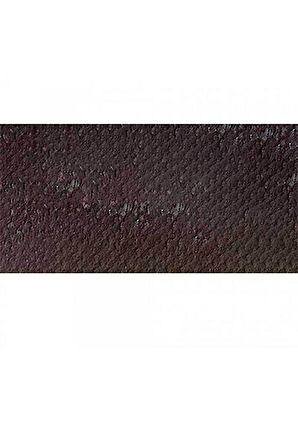 Caran d'Ache Pastel Kalem Dark Flesh 748