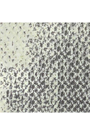 Caran d'Ache Pastel Kalem Bismuth White 811