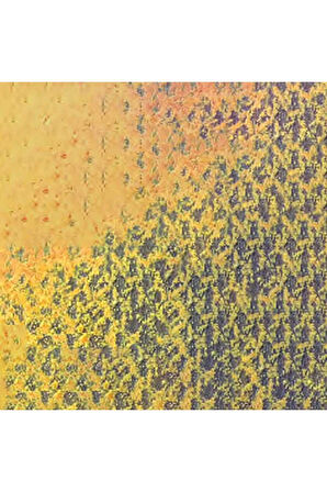 Caran d'Ache Pastel Kalem Golden Bismuth Yellow 820