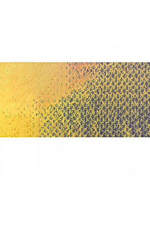 Caran d'Ache Pastel Kalem Golden Bismuth Yellow 820