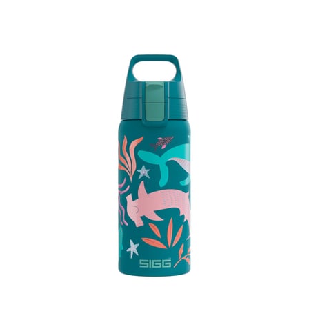 Sigg Therm One Çocuk Matarası 500ml Blue World 6022.90