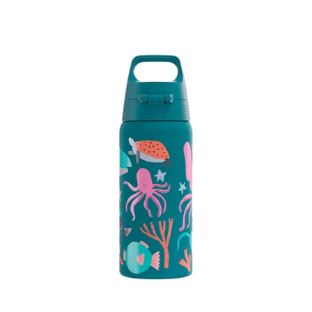 Sigg Therm One Çocuk Matarası 500ml Blue World 6022.90