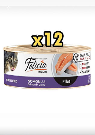 Felicia Kısırlaştırılmış Somonlu Kedi Konservesi 85 G X 12 Adet SK:2026