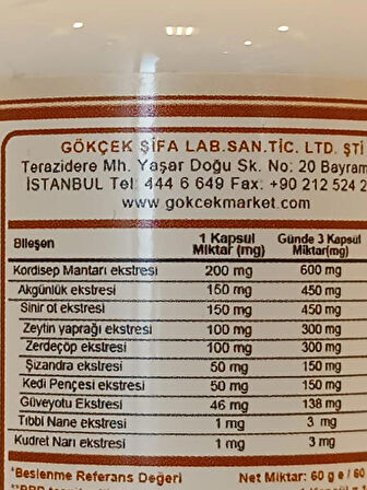 Kordisep Kapsül (CORDYCEPS CAPSULE)