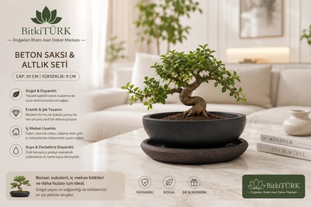 Dekoratif Beton Saksı ve Altlık Seti 20x9 cm Bonsai Saksısı Sukulent Saksısı İç Mekan Bitki Saksısı