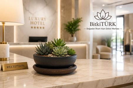 Dekoratif Beton Saksı ve Altlık Seti 20x9 cm Bonsai Saksısı Sukulent Saksısı İç Mekan Bitki Saksısı