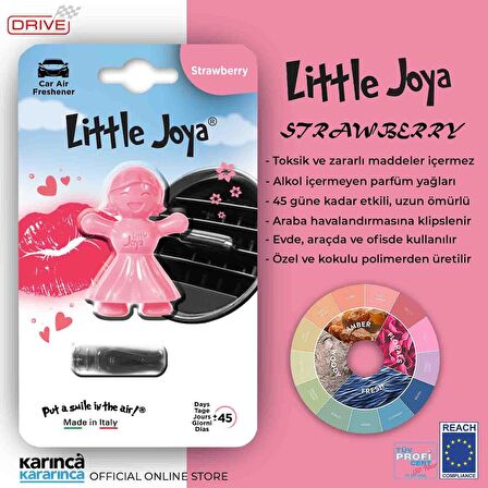 Little Joya Strawberry Kalorifere Geçme Oto Kokusu Çilek 