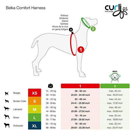 Curli Belka Comfort Köpek Göğüs Tasması Kahverengi XS