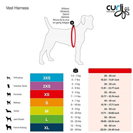 Curli Air-Mesh Küçük Irk Köpek Göğüs Tasması 26-30cm Mavi 3XS